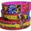 Collares DuraPlast personalizados AnimalComfort camuflaje y bandera Collares DuraPlast personalizados AnimalComfort apilados, con camuflaje y bandera de España. Perro beagle y cabra, para rehalas y ganadería.
