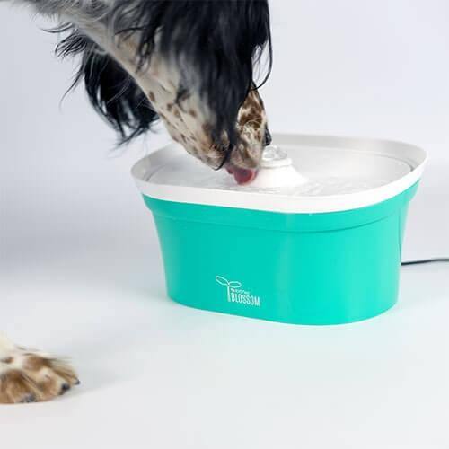 Bebedero fuente Ibáñez "Blosson" 2,8L