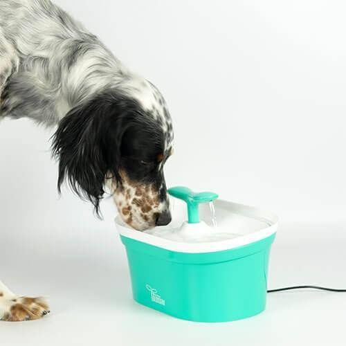 Bebedero fuente Ibáñez "Blosson" 2,8L