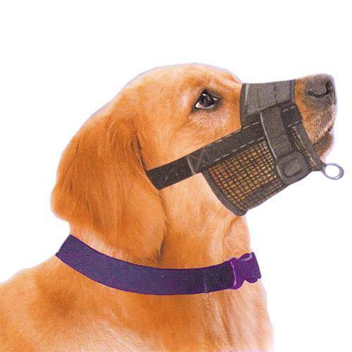 Bozal de nylon ajustable Ibañez para perro con rejilla transpirable y collar morado