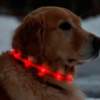collar_para_perros_luz_led_usb_seecurity_alta_visivilidad_localizacio_n_noche_500m_comprar_collar_luz_led_perro_collar_luminoso_perros_collar_perros_nocturno_collar_seguridad_perro Collar luminoso led de silicona para perros