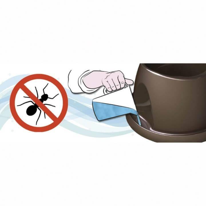 Comederos altos especial para perros de orejas largas