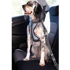Perro setter inglés con arnés de seguridad gris y correa de sujeción para coche en el asiento trasero
