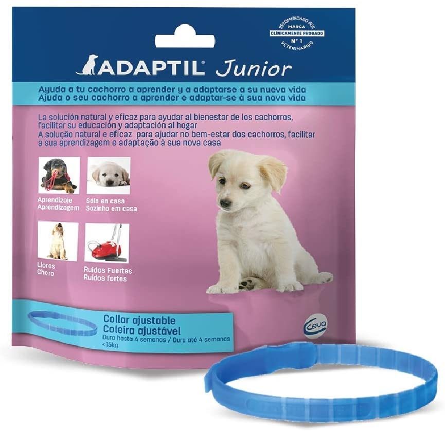 Collar tranquilizador Adaptil Junior de color azul para cachorros, presentado en su envase original