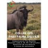 Collar GPS Domodis para seguimiento de fauna salvaje Ñu en la sabana africana promocionando el collar GPS para fauna salvaje y ganadería de la marca Domodis