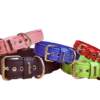 Collar-youpet-elements-colores Collar Youpet Elements colores