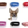 collar-perro-tejido-tecnico-elements-todos-colores Collares suaves para perros youpet