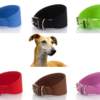 collar-youpet-elements-galgos Collar Youpet para galgos