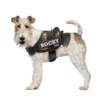 Arnes-seguridad-xt-dog-animalcomfort-camuflaje-perro Arnés de seguridad XT-DOG personalizable