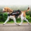 Arnes-seguridad-xt-dog-animalcomfort-negro-perro Arnés de seguridad XT-DOG