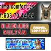 ETIQUETA tres para arnes + velcro negro 2 Etiquetas personalizadas con velcro para arneses