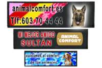 2 Etiquetas personalizadas con velcro para arneses 2 Etiquetas personalizadas con velcro para arneses