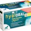 Hyaloral para perros de raza mediana y pequeña. Hyaloral para perros de raza mediana y pequeña.