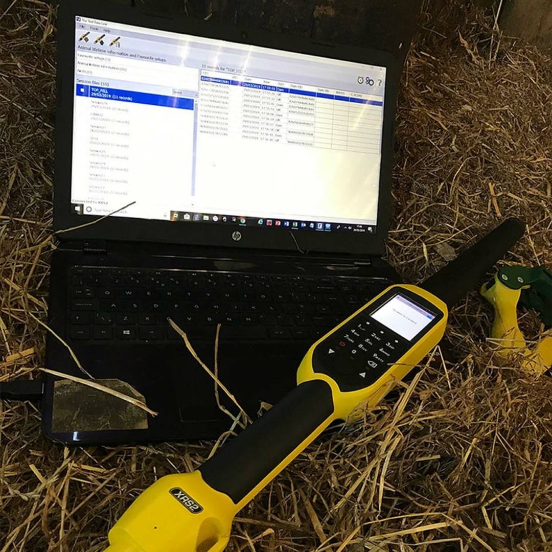 Lector de microchips Datamars XRS2 de mano en color amarillo sobre paja junto a un ordenador portátil con software de gestión ganadera
