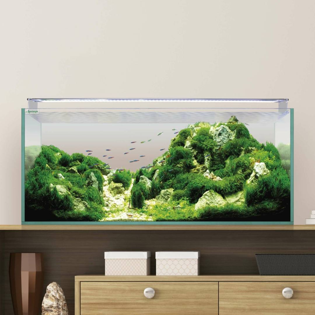AQUASCAPE100