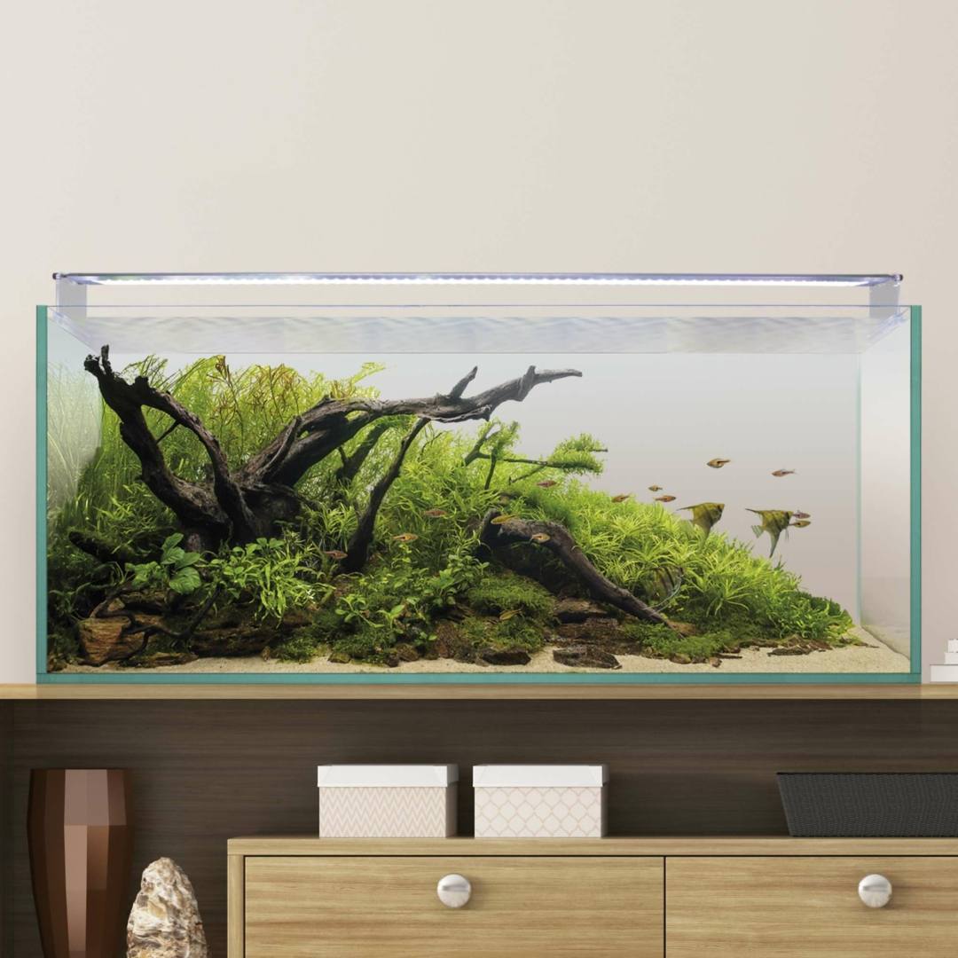 AQUASCAPE123
