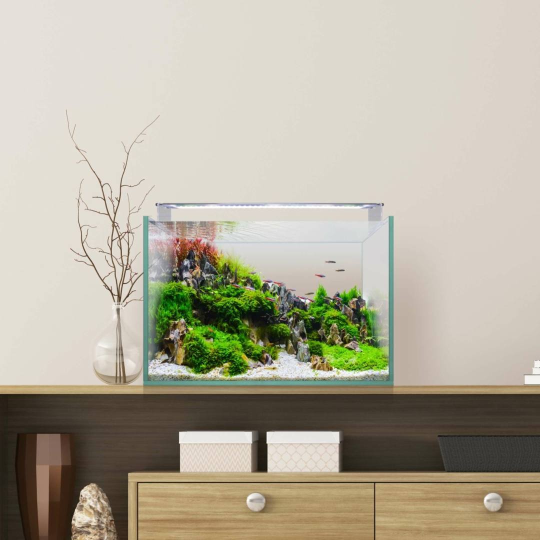 AQUASCAPE45