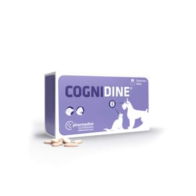 Cognidine para perros y gatos