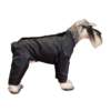 chubasquero impermeable perro 2 chubasquero impermeable perro 2