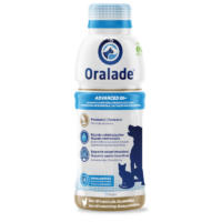 Oralade rehidratante para perros y gatos Oralade rehidratante para perros y gatos